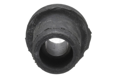 Izolator