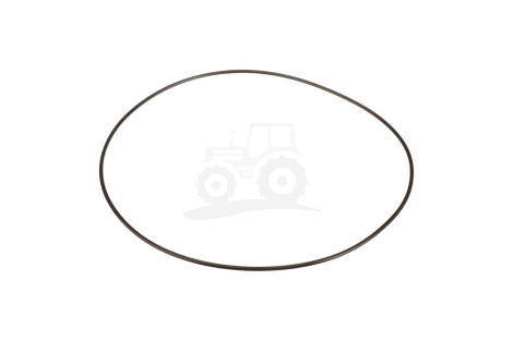 O-ring