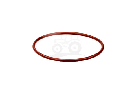 O-ring*