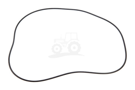 O-ring