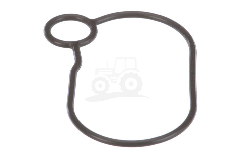 O-ring
