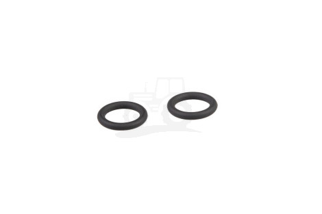 O-ring
