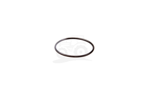 O-ring