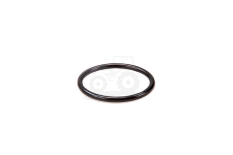 O-ring*