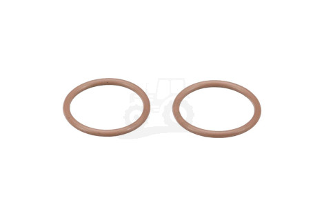 O-ring
