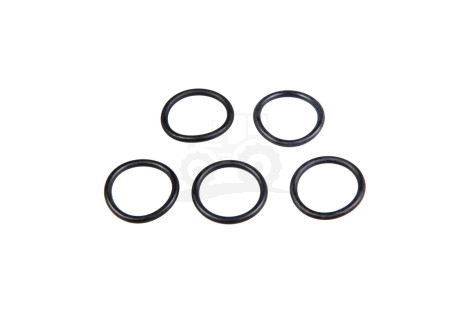 O-ring*