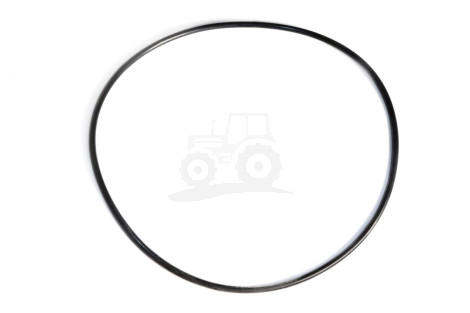 O-ring