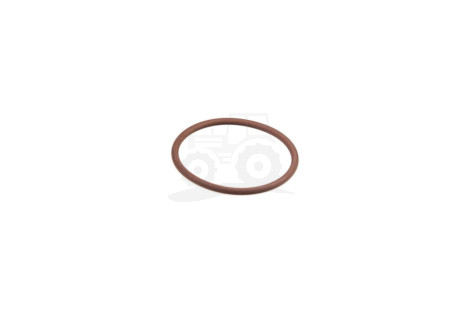 O-ring