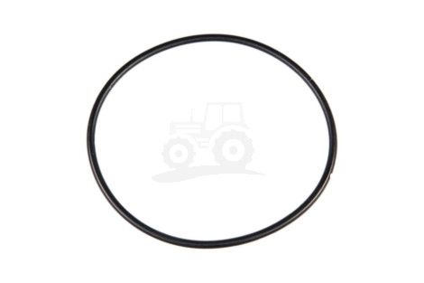 O-ring