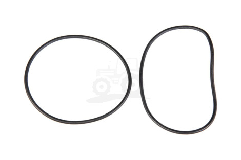 O-ring