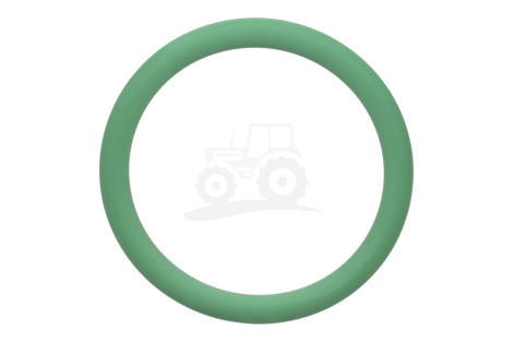O-ring