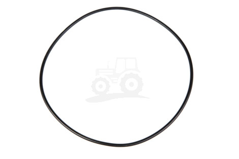 O-ring