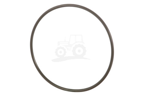 O-ring