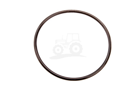 O-ring