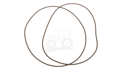O-ring