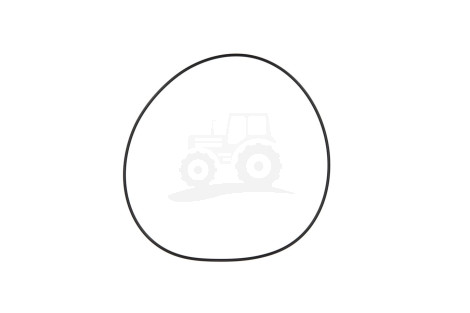O-ring hamulca nożnego