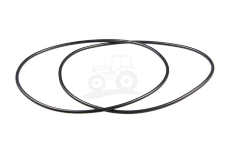 O-ring
