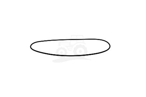 O-ring