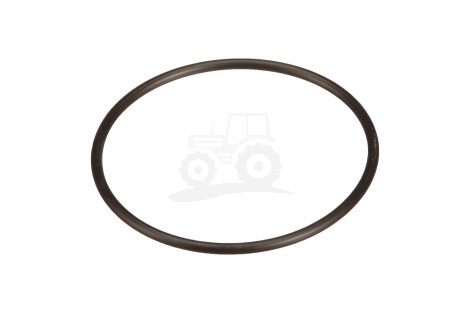 O-ring