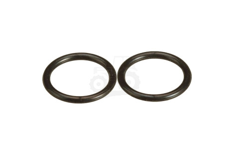 O-ring