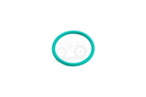 O-ring