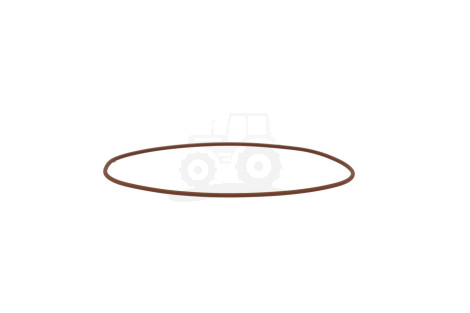 O-ring
