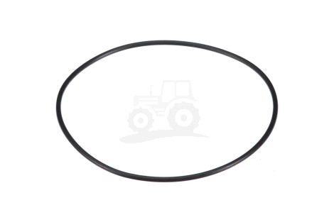 O-ring