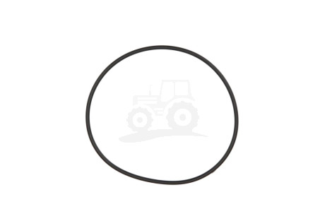 O-ring