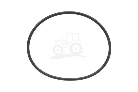 O-ring