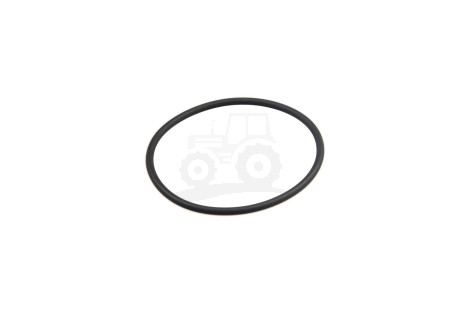 O-ring