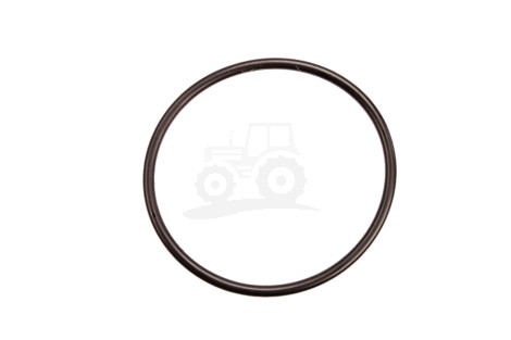Pierścień oring B58719