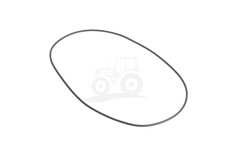 Oring B2806