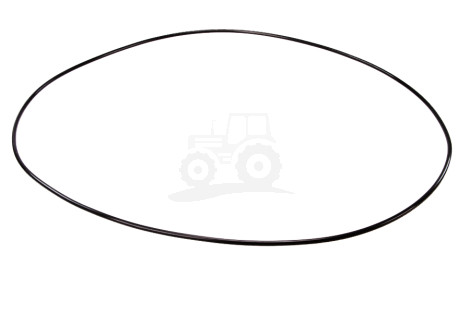 Pierścień oring 304,39x3,53