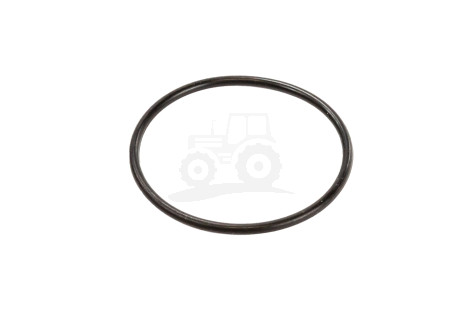 Pierścień uszcze.  B58716  fi-  47.29 X 2.62 MM