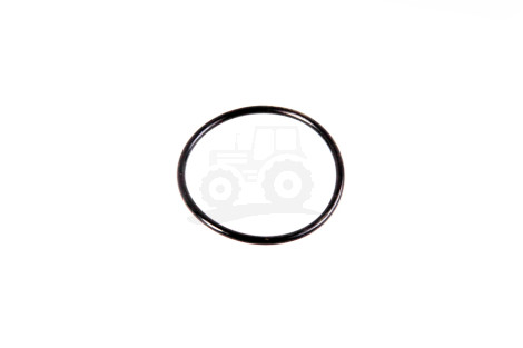 Pierścień oring