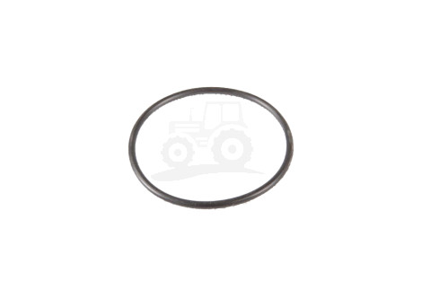 Oring B17533 123/9960099