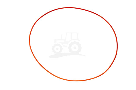 Oring 29/416-46