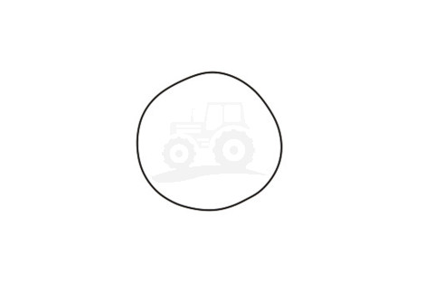 O-ring