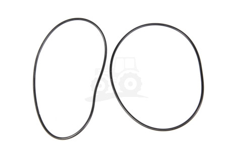 O-ring