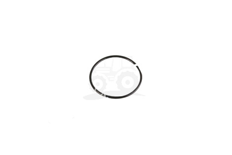O-ring