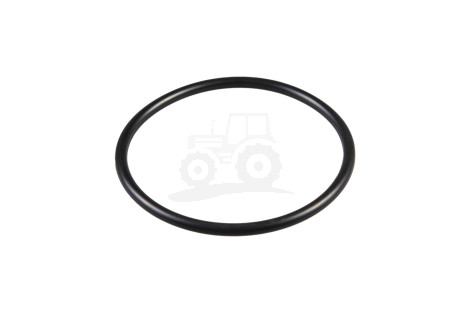 O-ring