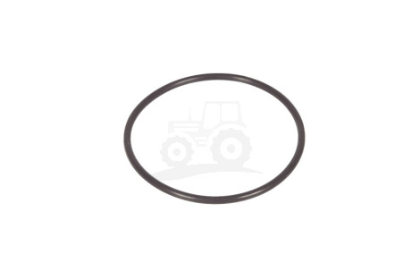 O-ring