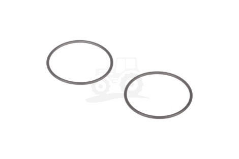O-ring