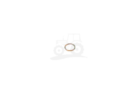 O-ring