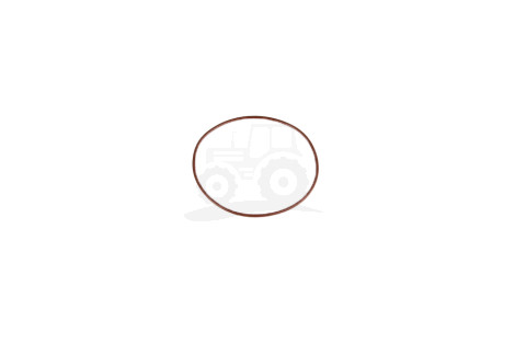 O-ring