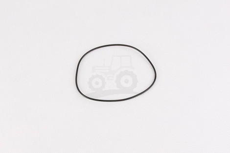 O-ring