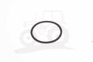 O-ring