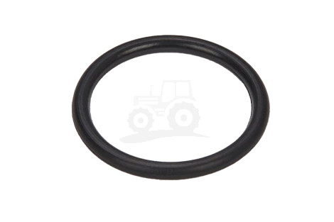 O-ring