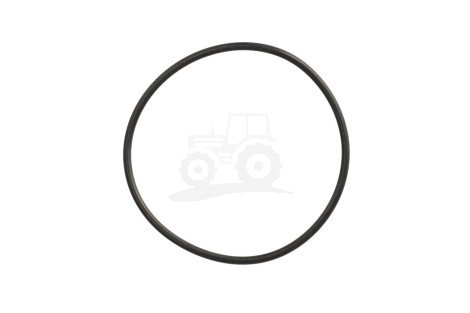 O-ring