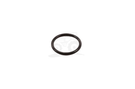 O-ring